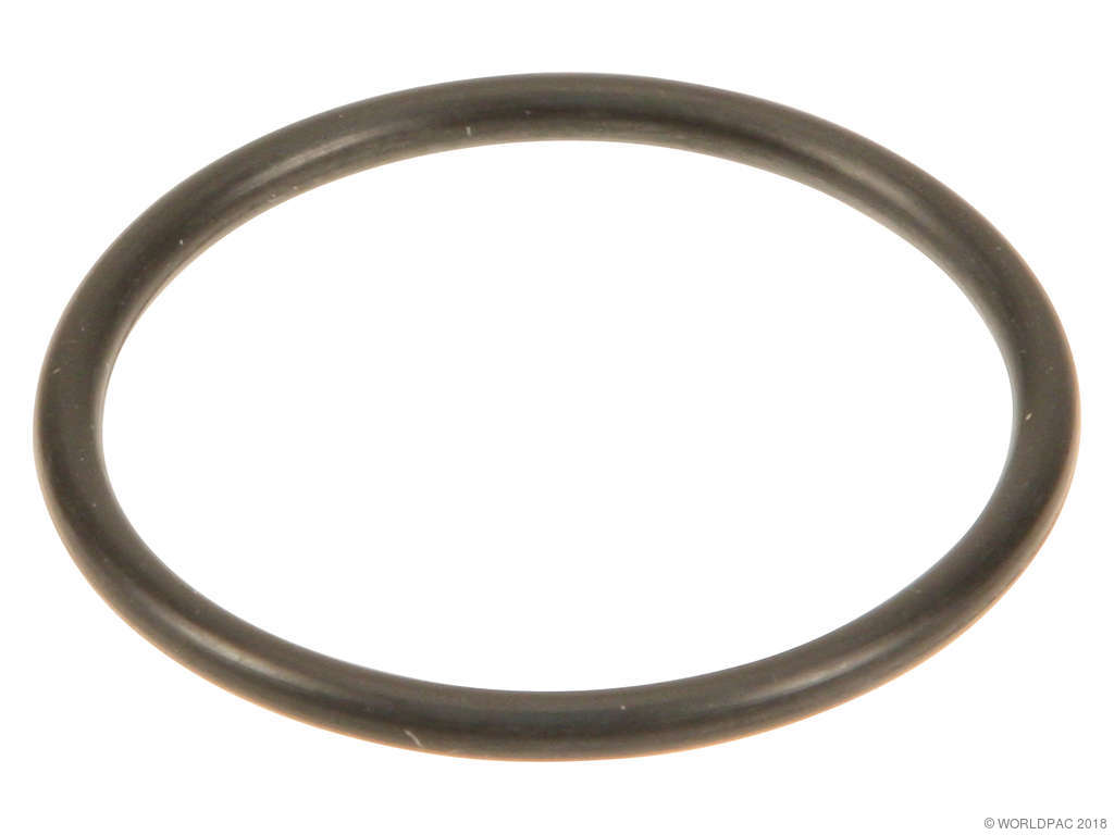Transmission Filter Gasket