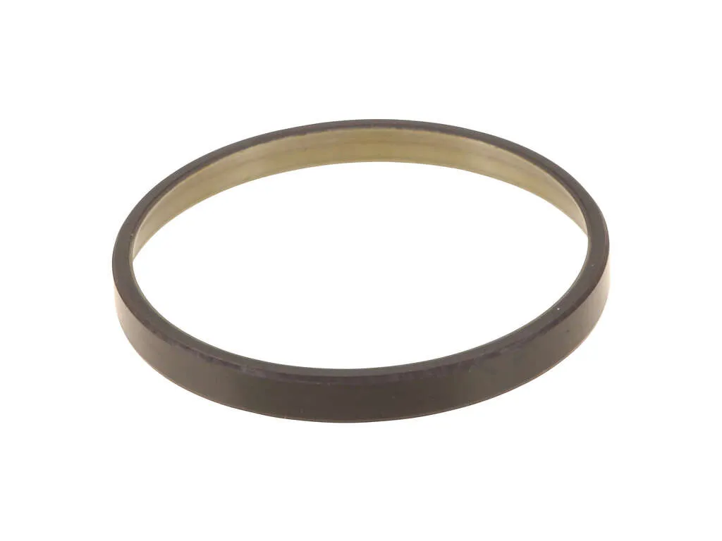ABS Wheel Speed Sensor Tone Ring