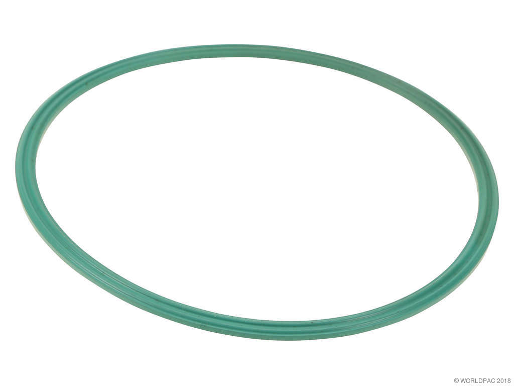 2004, 2003, 2002, 2001, 2000 Ford Focus Fuel Pump Tank Seal