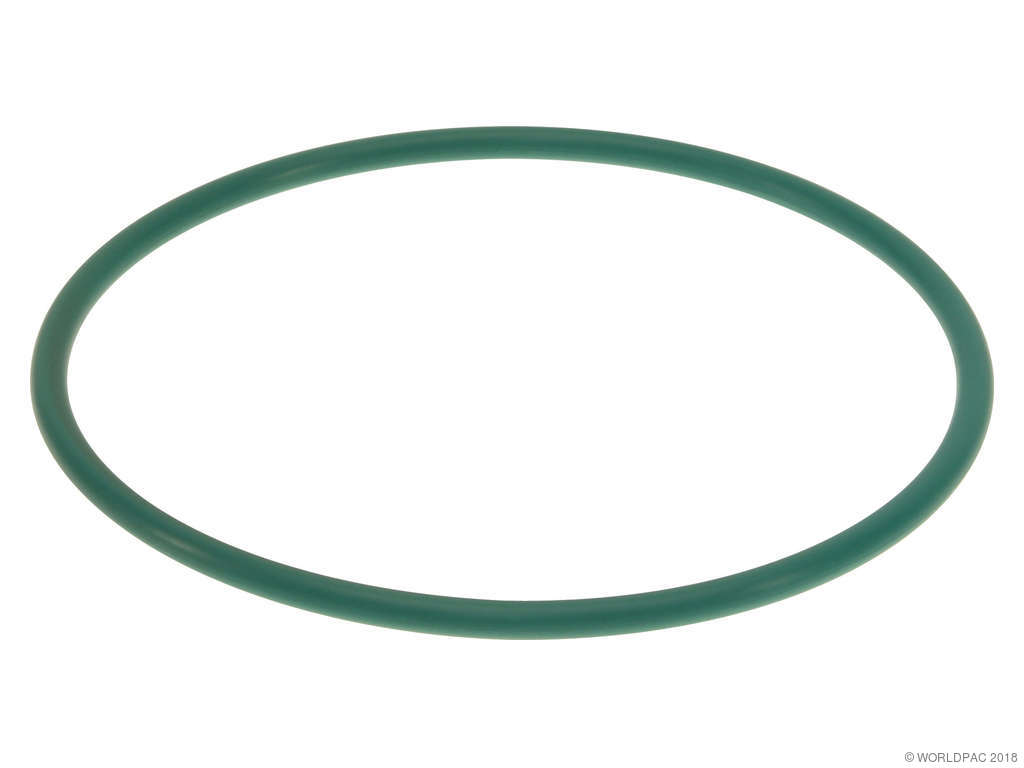 Fuel Pump Tank Seal