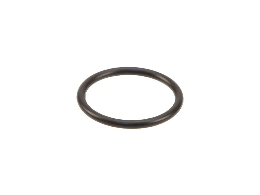 2022, 2021, 2020, 2019, 2018, 2017, 2016, 2015, 2014, 2013, 2012, 2011 Nissan Frontier Engine Coolant Pipe O-Ring