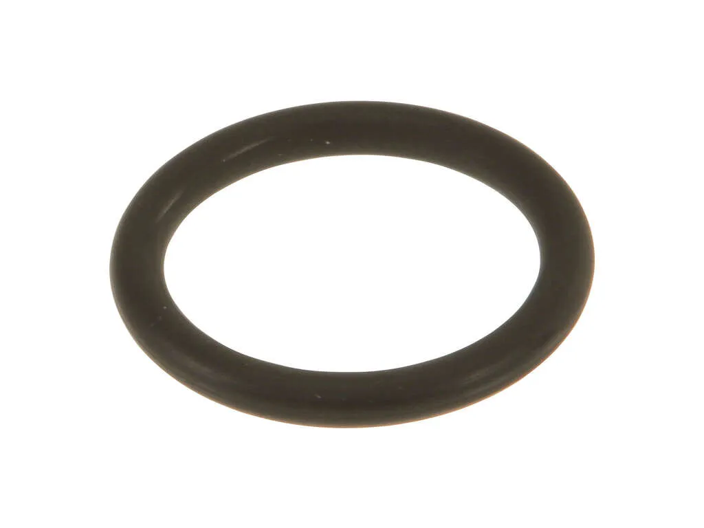 2000, 1999 BMW 528i Engine Oil Pump O-Ring