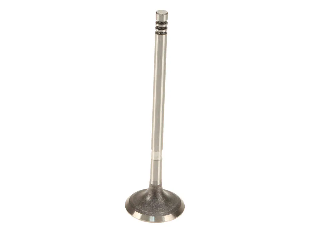 2008, 2007, 2006, 2005, 2004, 2003, 2002 Mini Cooper Engine Intake Valve