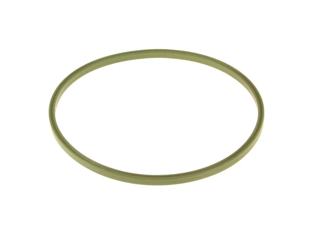 Fuel Pump Tank Seal