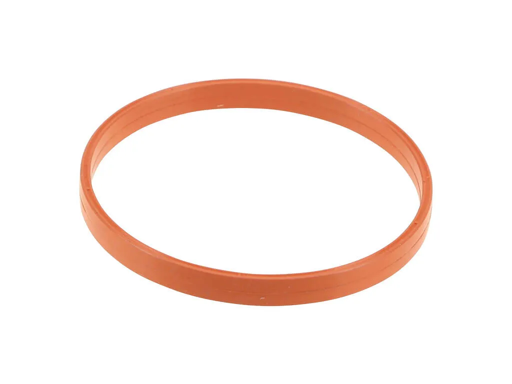 2018, 2017, 2016, 2015, 2014, 2013, 2012 Chevrolet Sonic Fuel Injection Throttle Body Mounting Gasket
