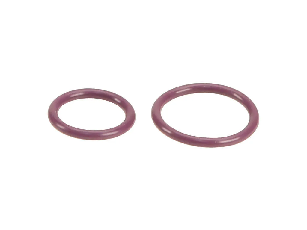 2009, 2008, 2007 Mercedes-Benz ML320 2007-2009 Mercedes-Benz GL320 A/C Expansion Valve Seal Kit