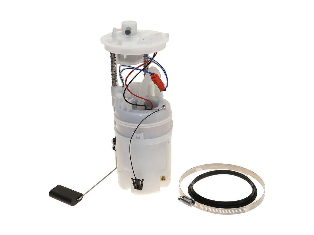 2010, 2009, 2008, 2007 BMW X5 Fuel Pump Module Assembly