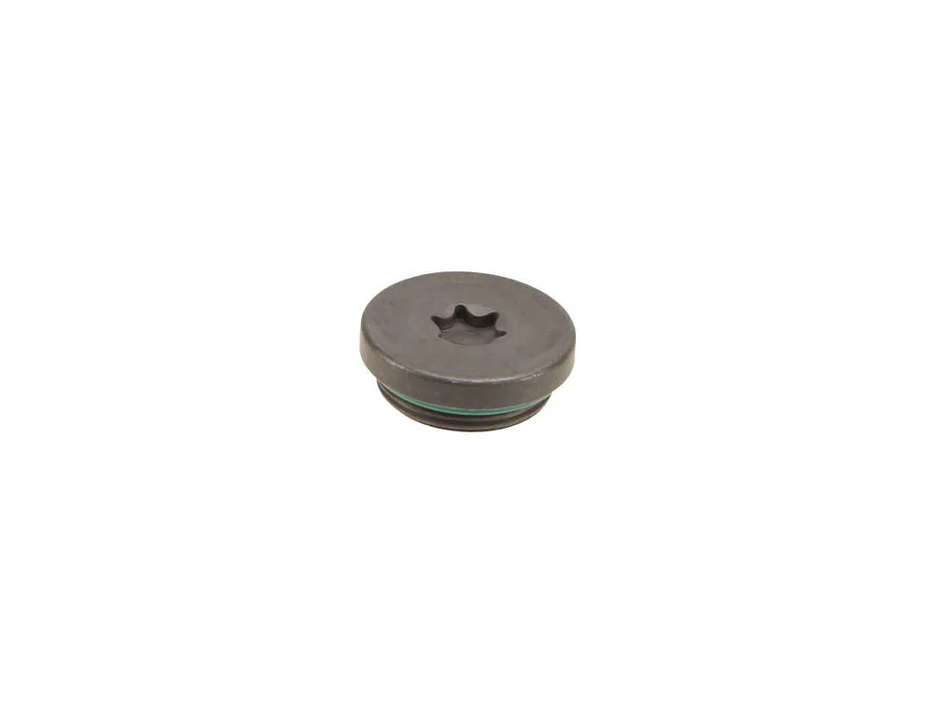 2011, 2010, 2009, 2008, 2007, 2006, 2005, 2004 Volvo S40 Engine Camshaft Bolt Plug