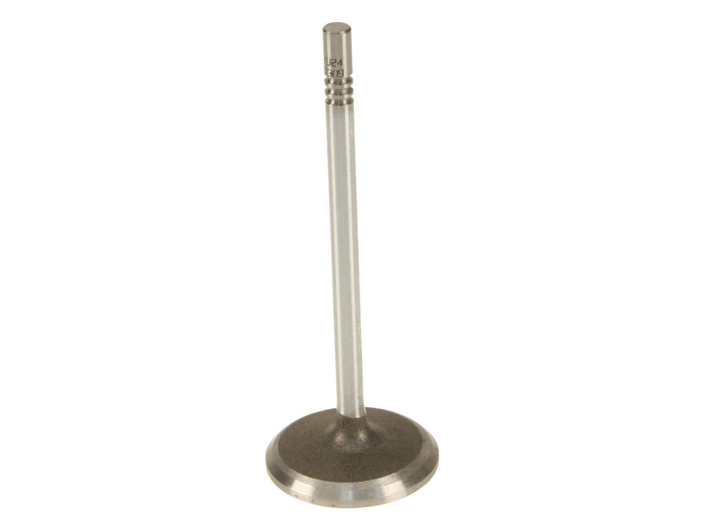 2005, 2004, 2003, 2002 Ford Explorer Victoria Engine Intake Valve