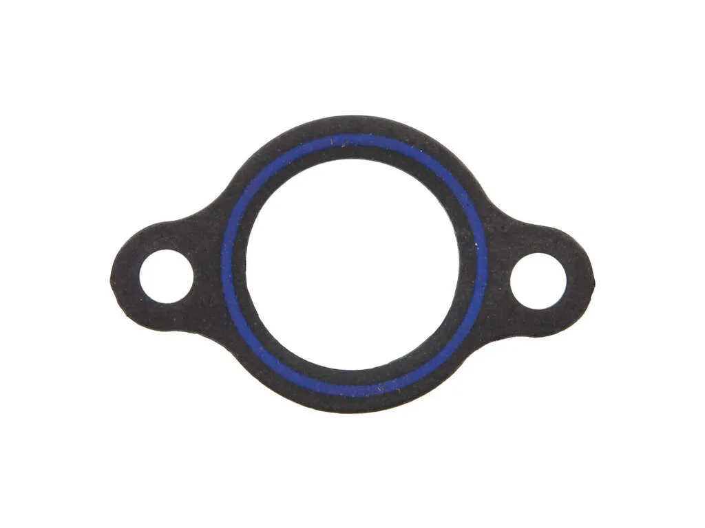 2011, 2010, 2009, 2008, 2007, 2006 Hyundai Azera Engine Coolant Thermostat Seal