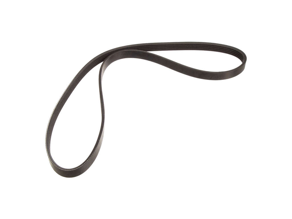 2009, 2008, 2007 Audi S8 Accessory Drive Belt