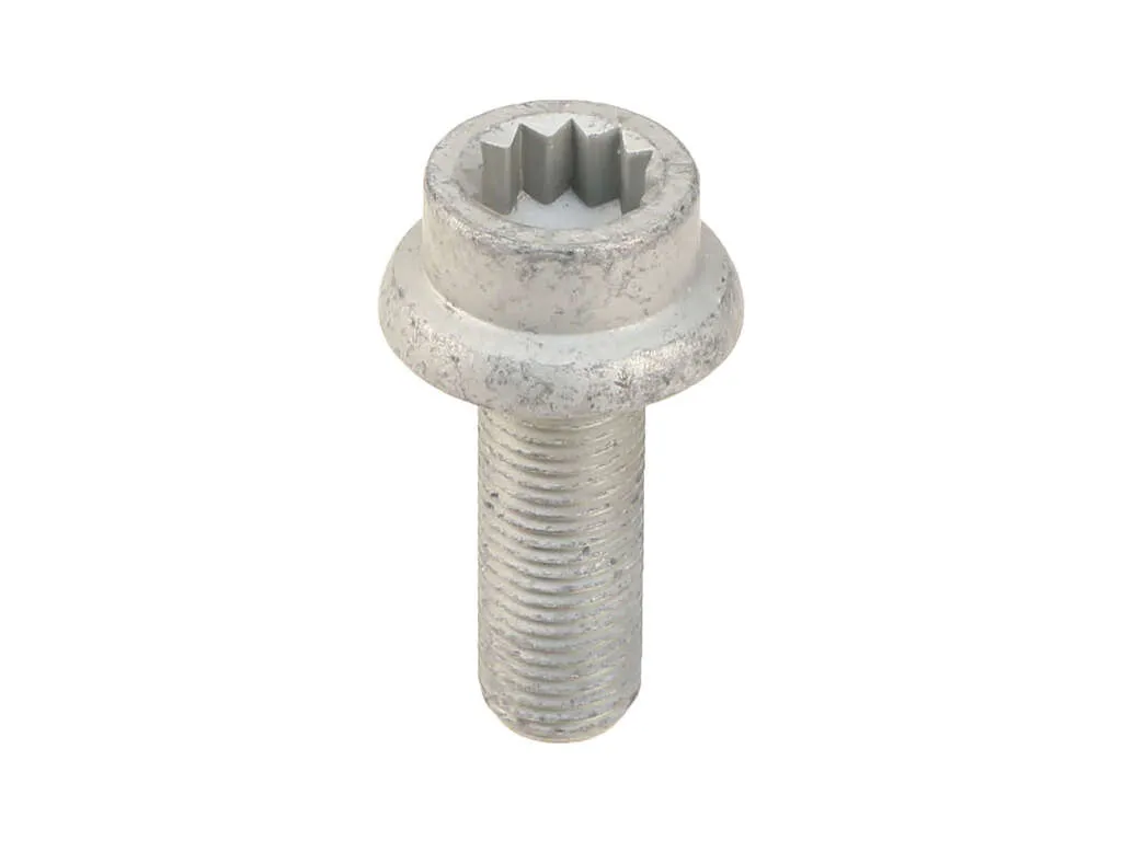 2010, 2009, 2008, 2007, 2006, 2005, 2004, 2003 Porsche Cayenne Disc Brake Caliper Bolt