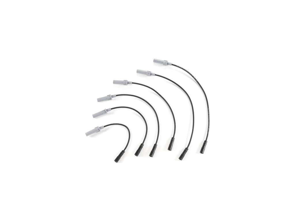 2007, 2006, 2005, 2004, 2003, 2002, 2001 Dodge Caravan Spark Plug Wire Set