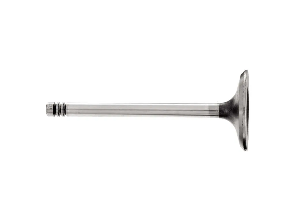 2006, 2005, 2004, 2003, 2002, 2001 Audi A4 Engine Oil Dipstick Tube Funnel
