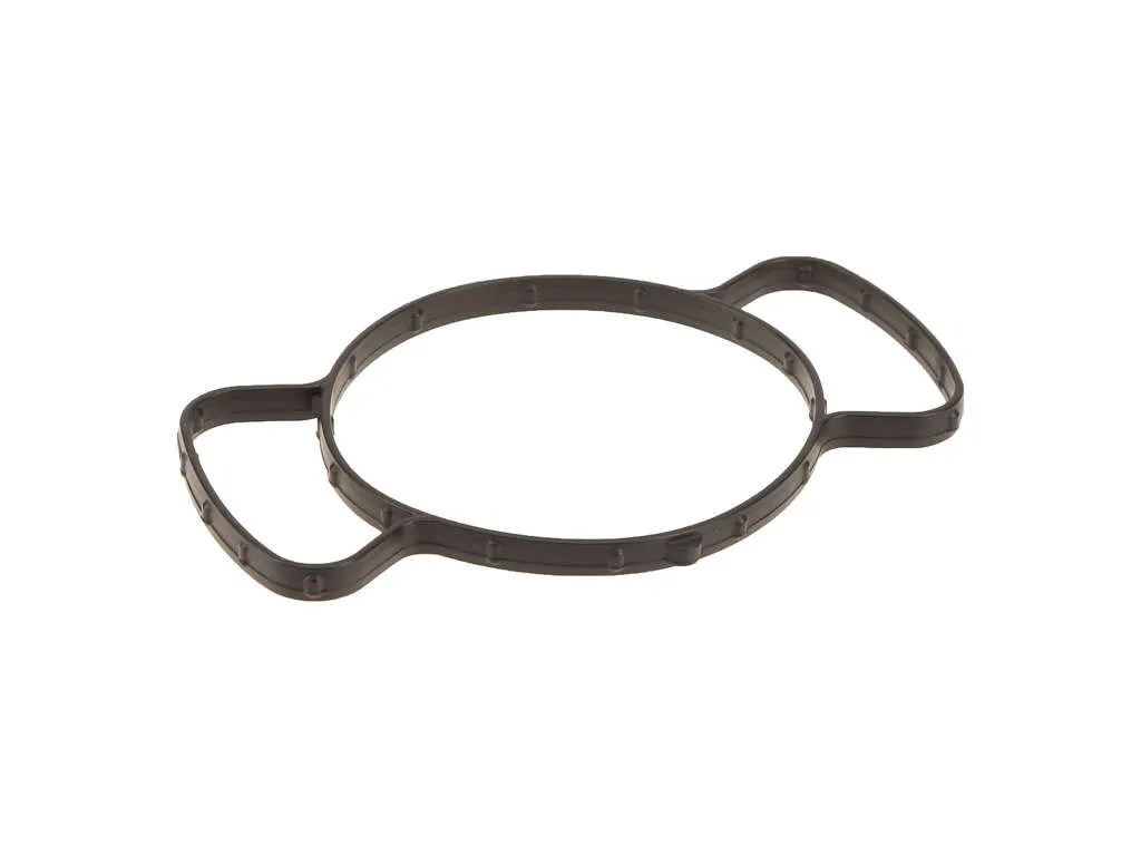 2022, 2021, 2020, 2019 Chevrolet Traverse Engine Water Pump Seal