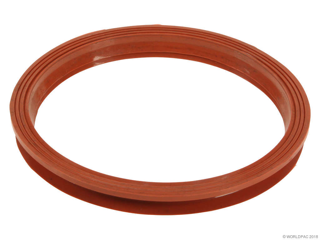 Fuel Pump Tank Seal
