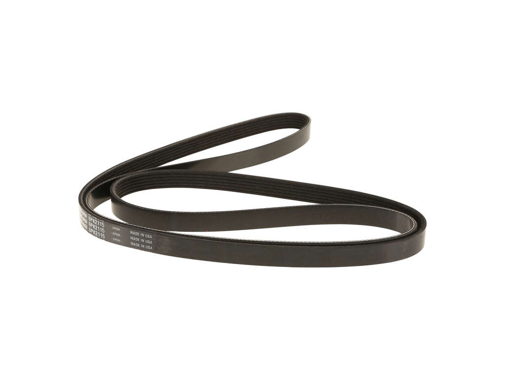 2004 Ford Focus Accessory Drive Belt