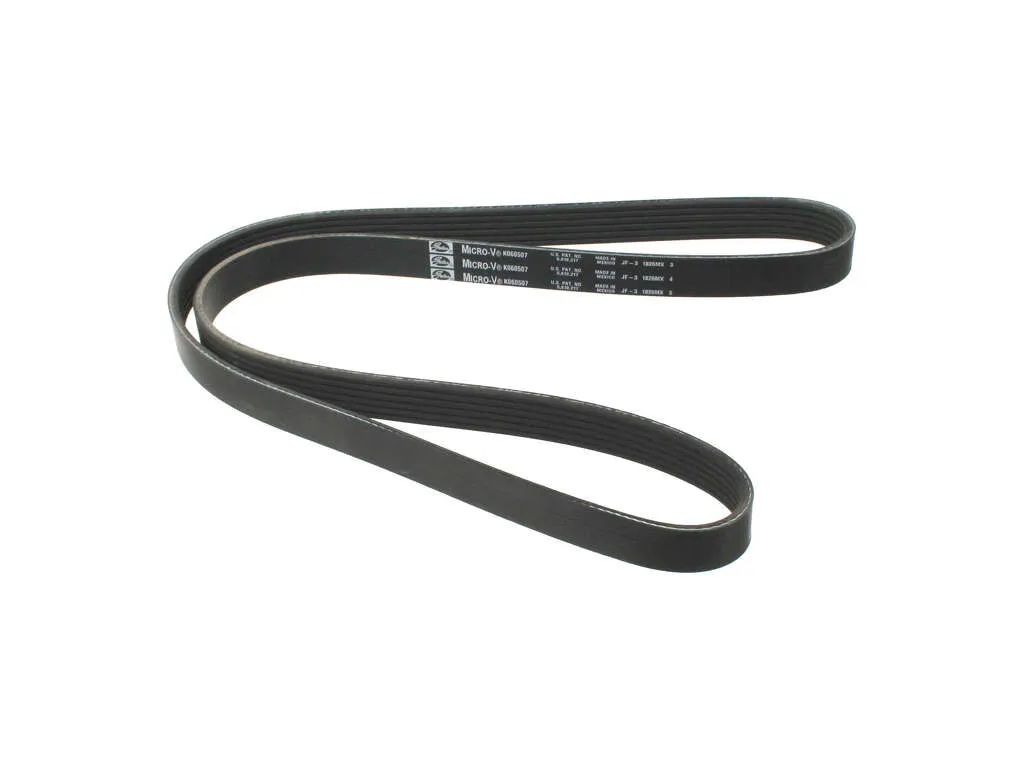 1989, 1988 Ford F59 Squire Accessory Drive Belt