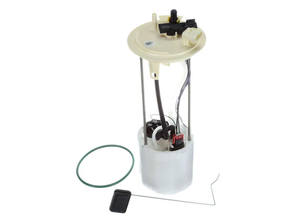 2010, 2009 Ford E-150 Fuel Pump Module Assembly