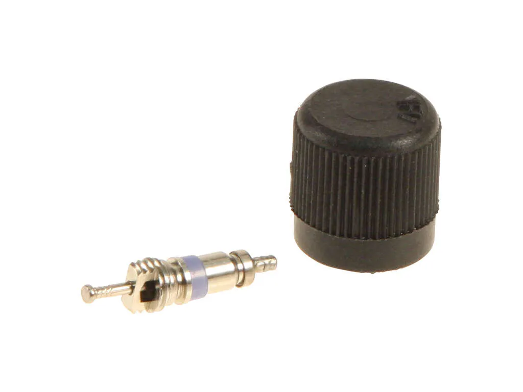 2009, 2008, 2007, 2006, 2005 Saab 9-7x EXT Fuel Injection Pressure Regulator