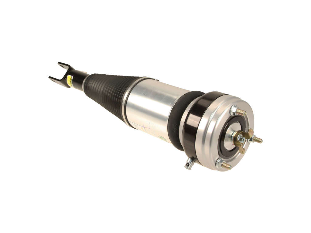 2012, 2011, 2010, 2009, 2008, 2007 Lexus LS460 Suspension Strut Assembly