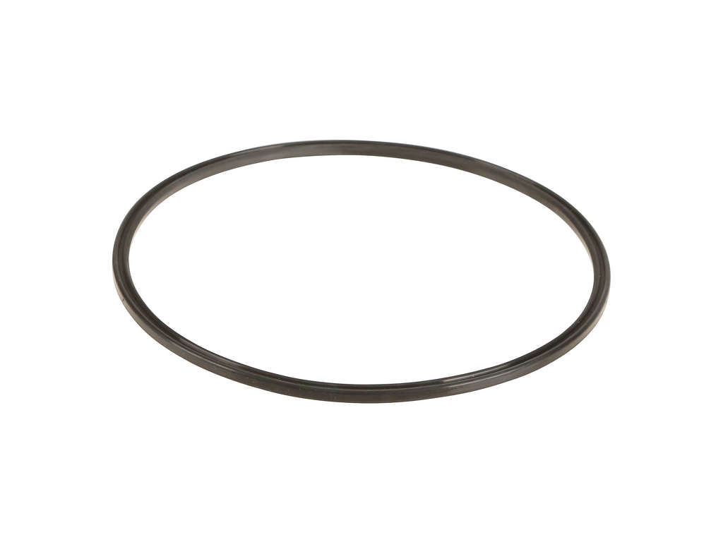 Fuel Pump Tank Seal