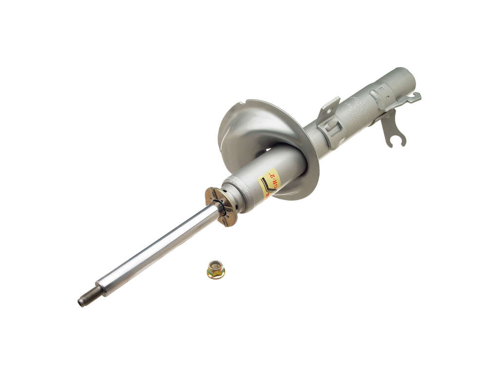 2005, 2004, 2003, 2002, 2001, 2000 Ford Focus Suspension Strut Assembly
