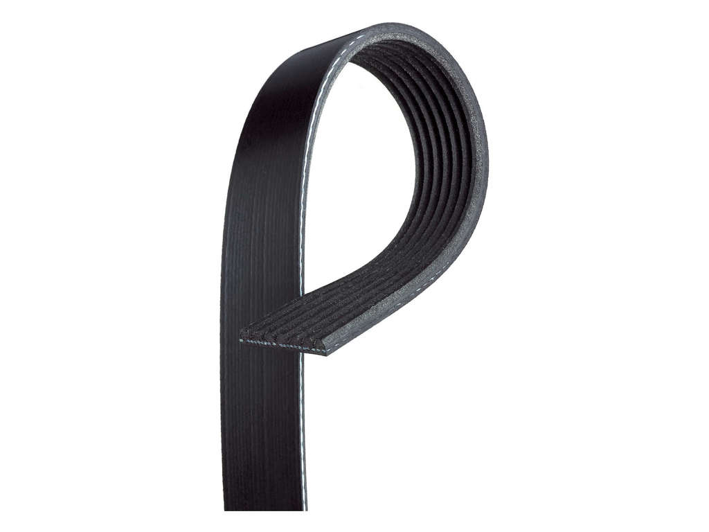 2003, 2002, 2001, 2000, 1999, 1998 Dodge Durango Accessory Drive Belt