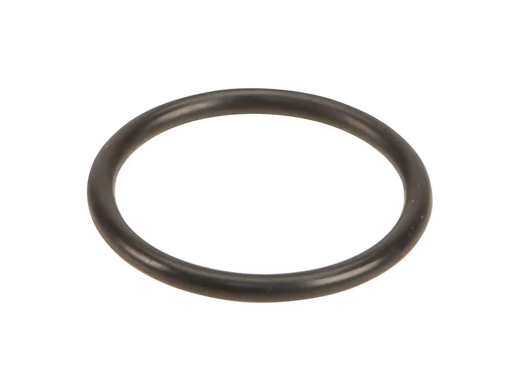 Automatic Transmission Filter O-Ring