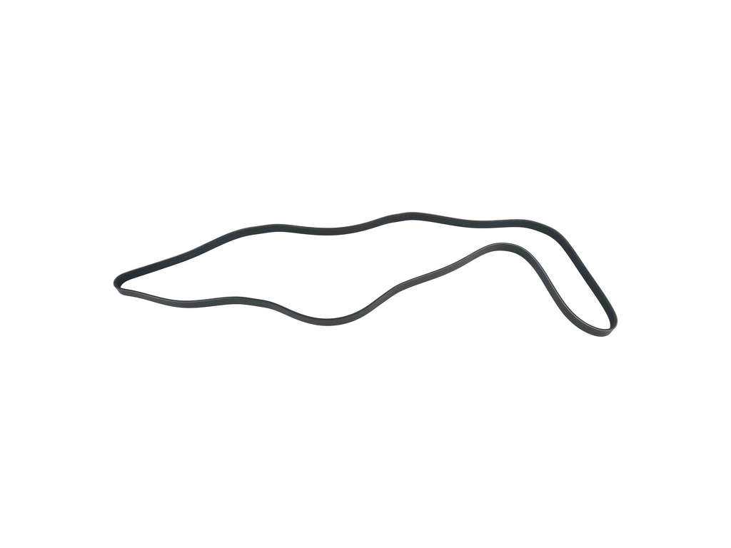 2005, 2004, 2003, 2002 Lexus SC430 Accessory Drive Belt