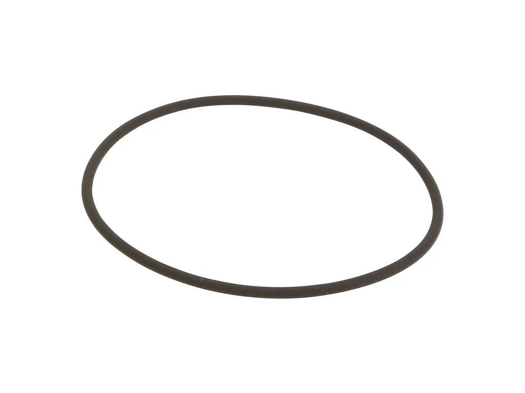 2010, 2009, 2008, 2007, 2006, 2005, 2004, 2003, 2002 BMW X5 Engine Variable Valve Timing (VVT) Adjuster Seal
