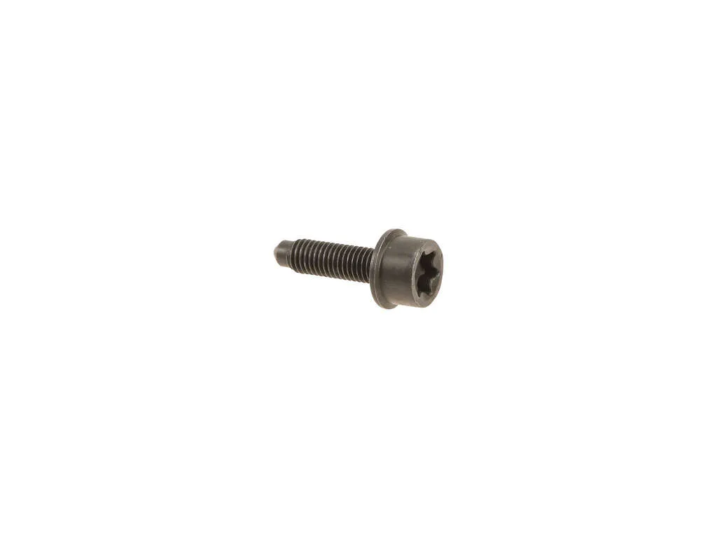 2016, 2015, 2014, 2013, 2012 BMW 528i Screw