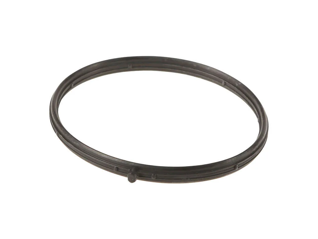 Fuel Injection Throttle Body Mounting Gasket