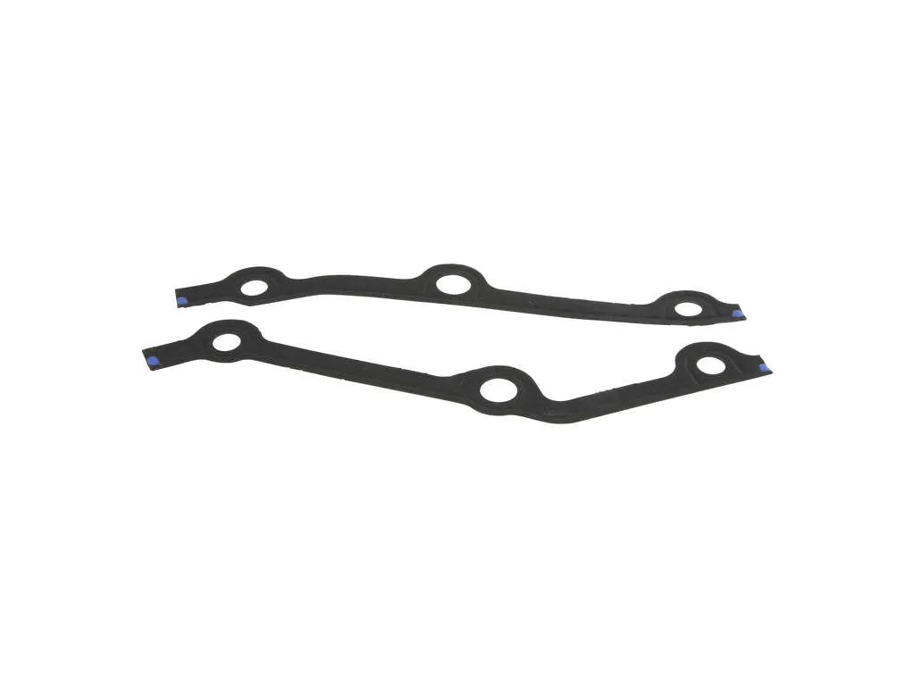 2003, 2002, 2001, 2000 BMW M5 Engine Timing Cover Gasket Set