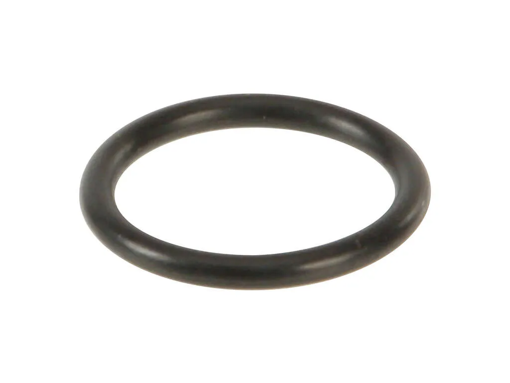 2003, 2002, 2001 Audi S8 Quattro Engine Coolant Pipe O-Ring