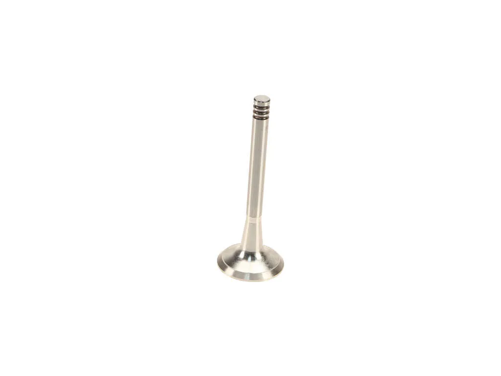 1995, 1994, 1993, 1992, 1991, 1990, 1989, 1988 Audi 90 Engine Exhaust Valve