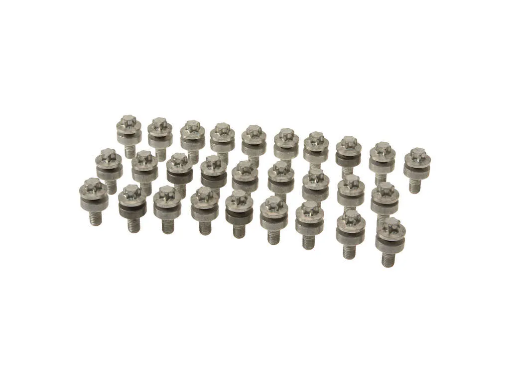 2011, 2010, 2009, 2008, 2007, 2006 BMW Z4 Engine Oil Pan Bolt Set