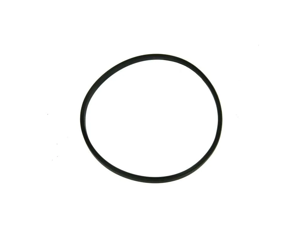 Fuel Pump Tank Seal