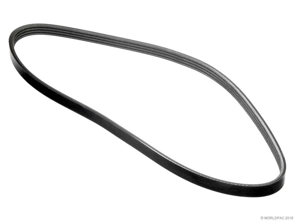 2019, 2018, 2017, 2016, 2015, 2014 Ford Transit Connect Accessory Drive Belt