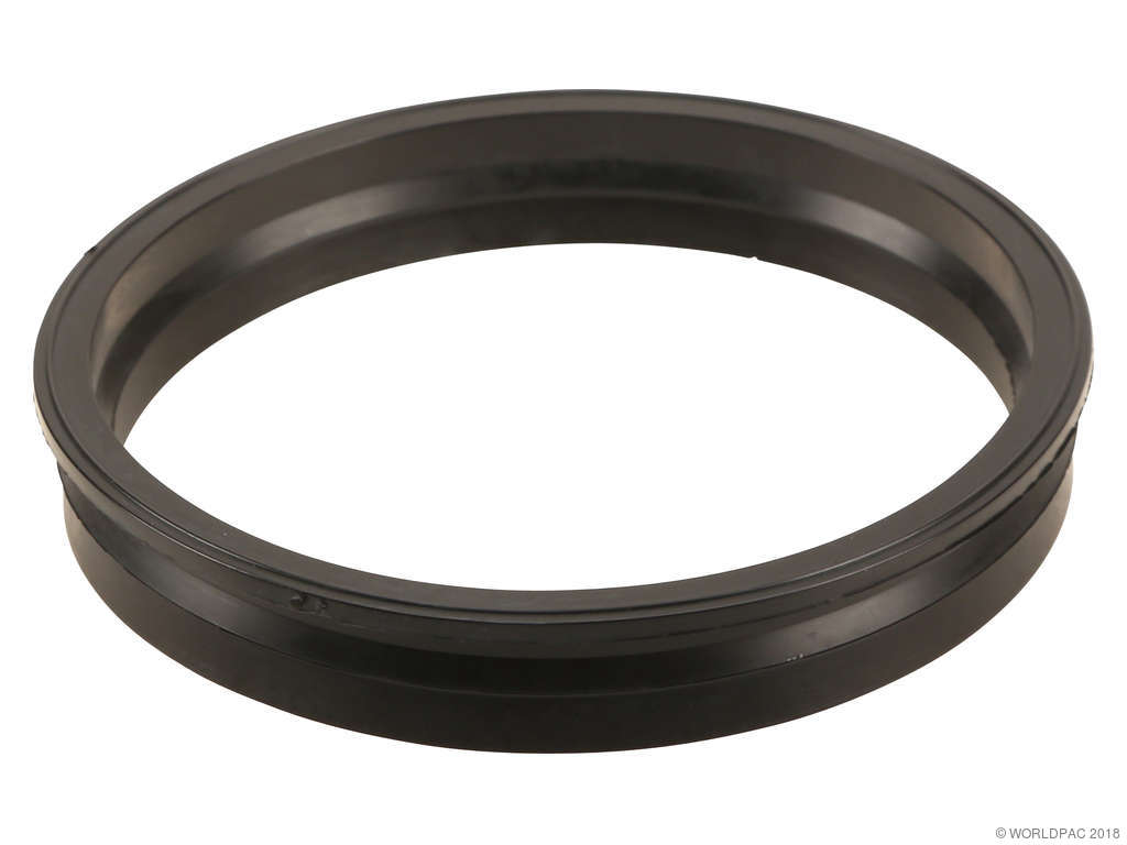 2015, 2014, 2013, 2012, 2011, 2010, 2009, 2008, 2007 Mini Cooper Fuel Pump Tank Seal