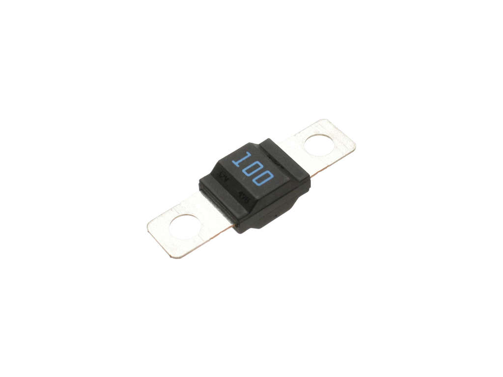 2006, 2005, 2004, 2003, 2002 Mini Cooper Multi-Purpose Fuse