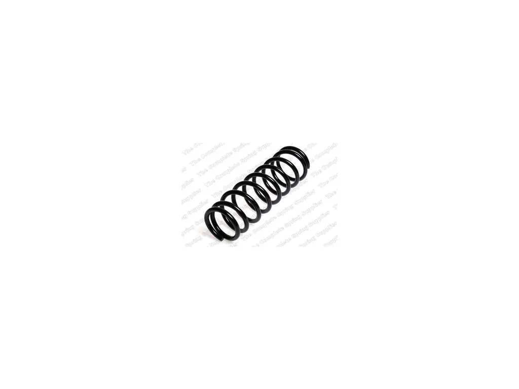 1998, 1997, 1996, 1995, 1994, 1993, 1992, 1991 Suzuki Sidekick Coil Spring