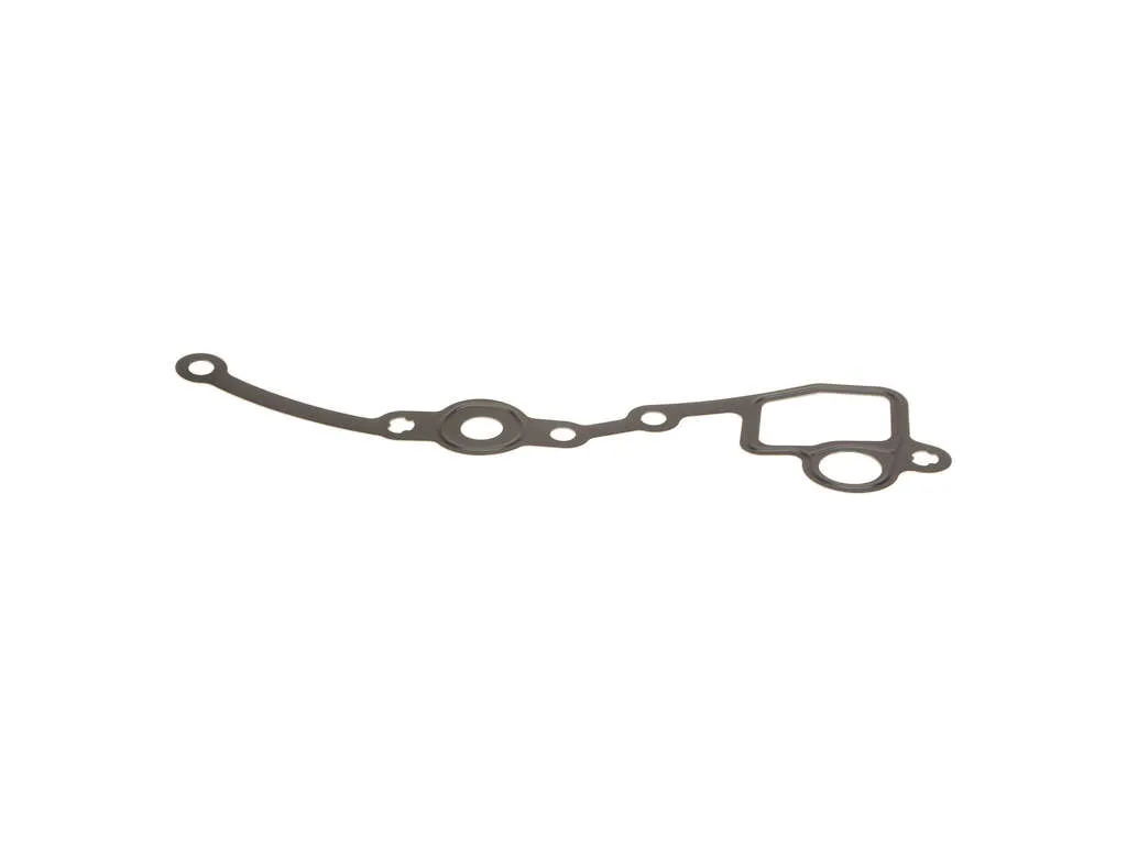 2006, 2005, 2004, 2003 Porsche Cayenne Engine Coolant Pipe Gasket