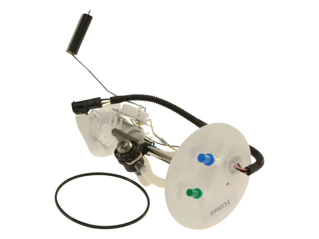 2004, 2003 Ford Expedition Fuel Pump Module Assembly