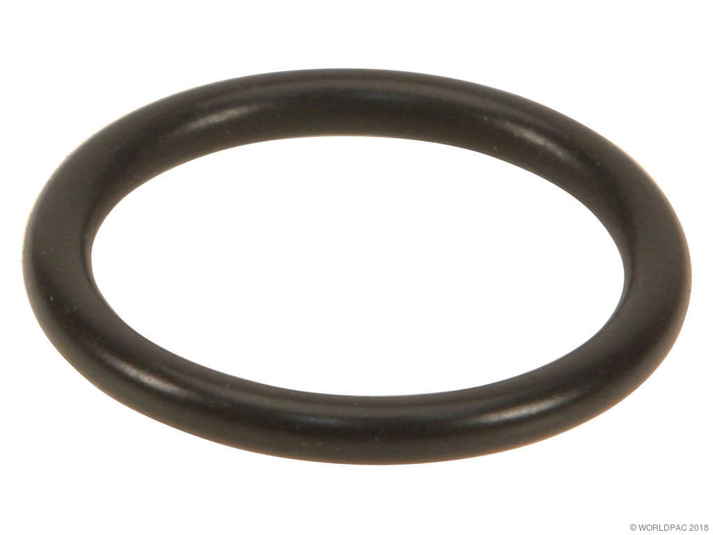 2015, 2014, 2013, 2012, 2011, 2010, 2009, 2008, 2007 Mini Cooper Engine Timing Chain Guide Bolt Seal