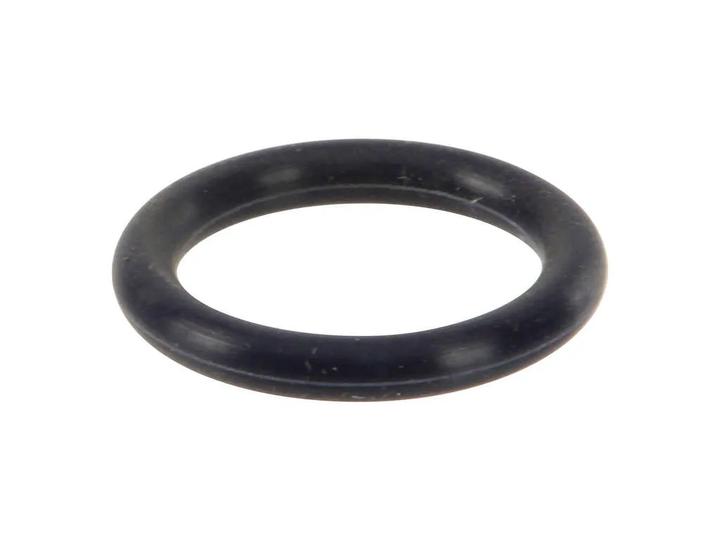 2004, 2003, 2002, 2001, 2000, 1999, 1998 Nissan Frontier Fuel Injection Pressure Regulator O-Ring