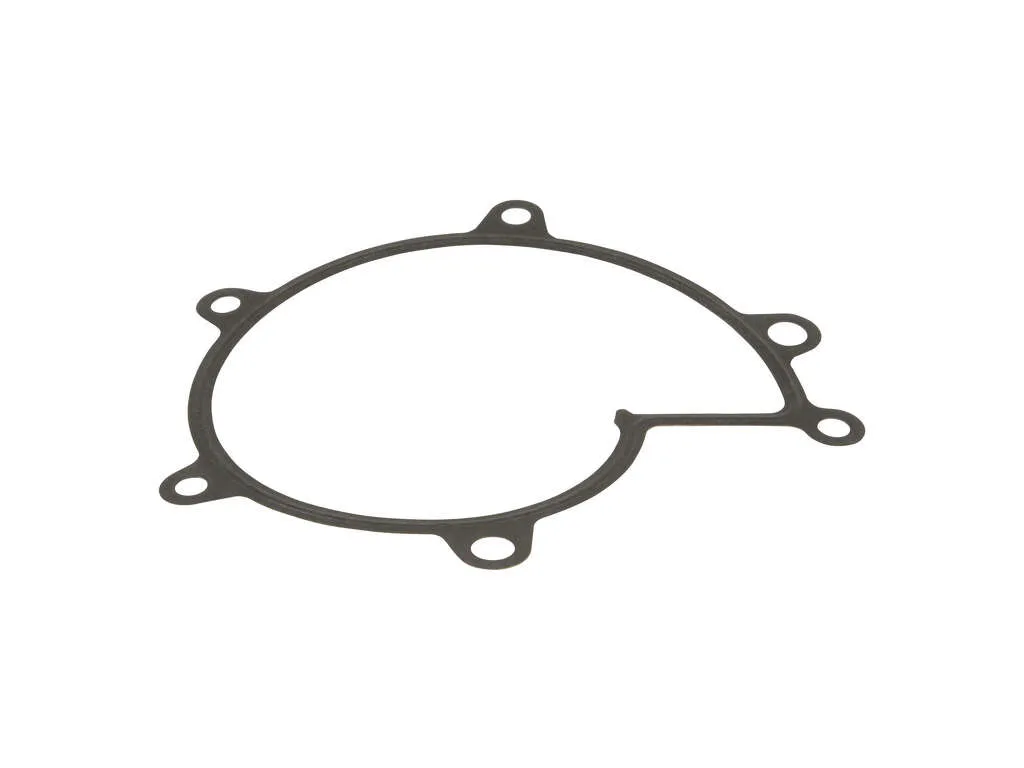 2003, 2002, 2001, 2000 BMW M5 Engine Water Pump Gasket