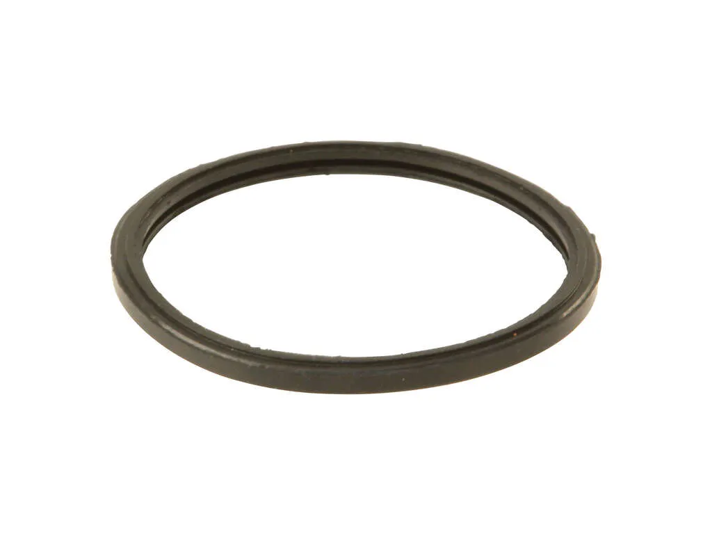 2005, 2004, 2003, 2002, 2001 Kia Optima Engine Coolant Thermostat Seal