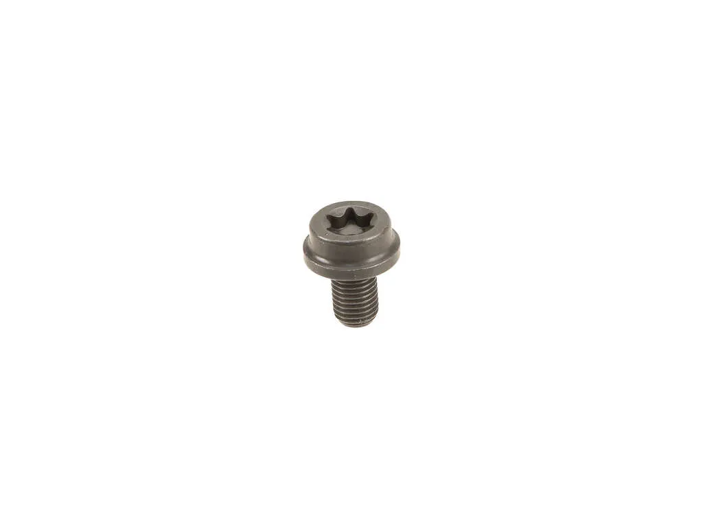 2016, 2015, 2014, 2013, 2012 BMW 528i Clutch Flywheel Bolt
