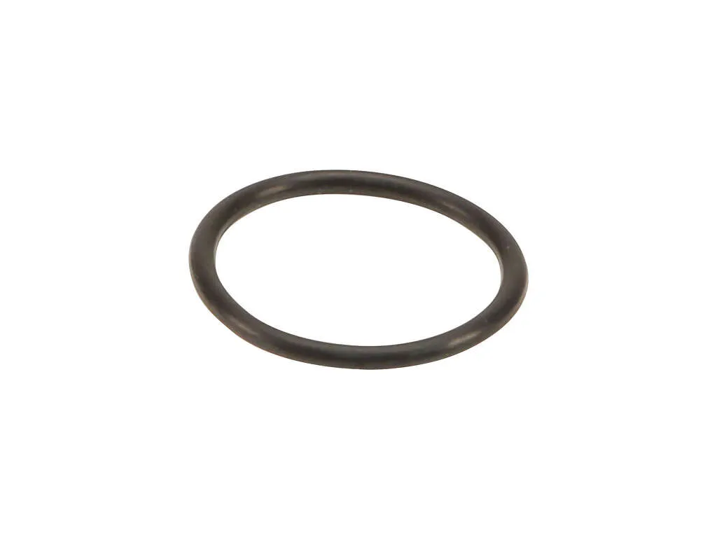 2015, 2014, 2013, 2012, 2011 Chevrolet Volt Engine Oil Filter Adapter Seal